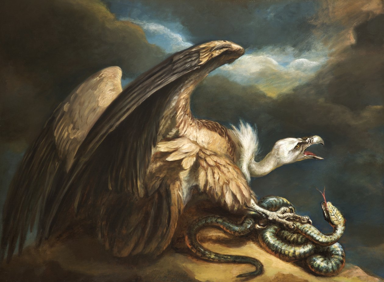 Abutre e Cobra, 1798 de James Northcote
