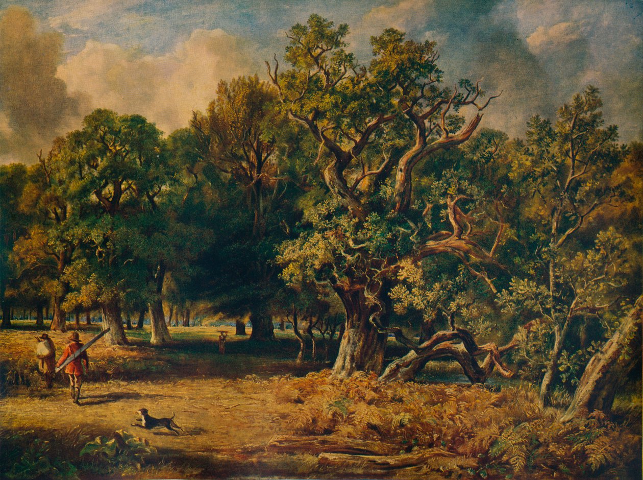 Floresta de Windsor, c1835 de James Stark
