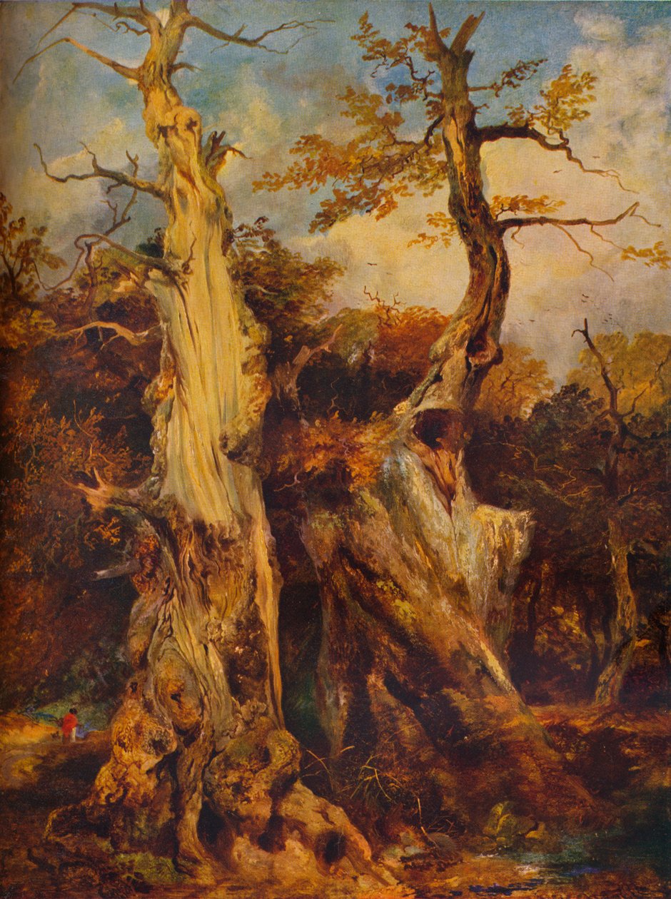 Na floresta, século c19 de James Ward