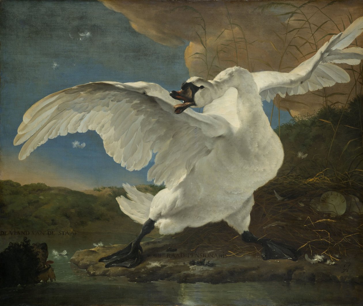 O Cisne Ameaçado de Jan Asselijn