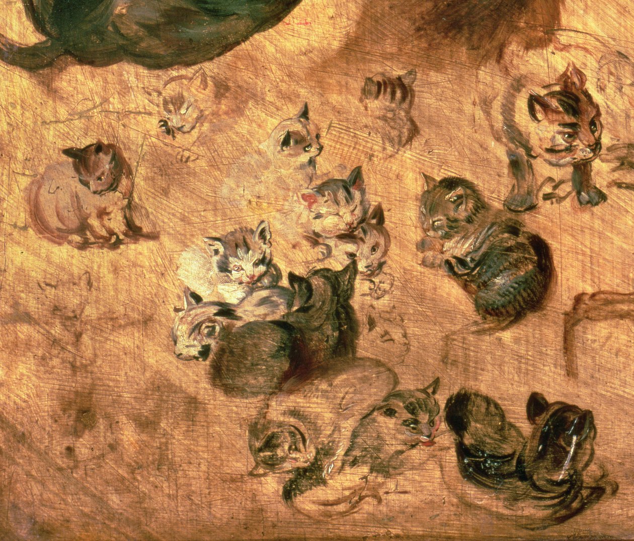 Estudo de gatos, 1616 (detalhe de 65879) de Jan the Elder Brueghel