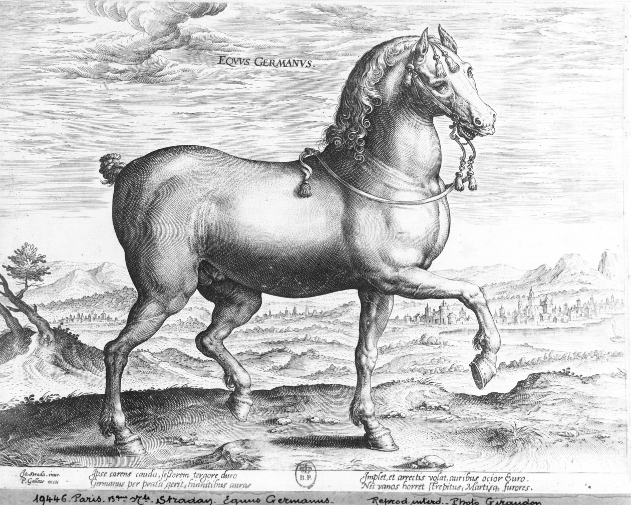 O cavalo Alemanha de Jan van der Straet