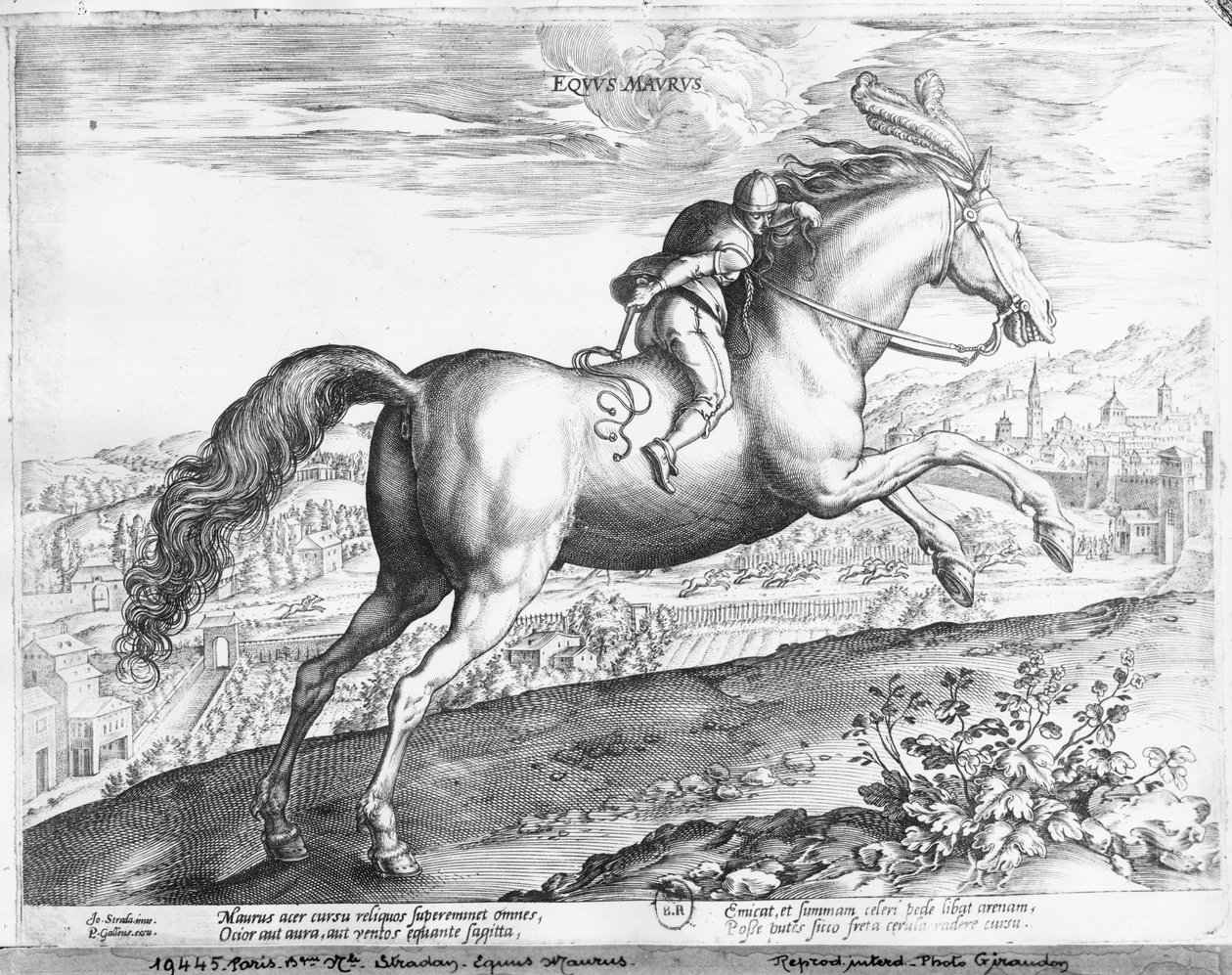 O cavalo C. de Jan van der Straet