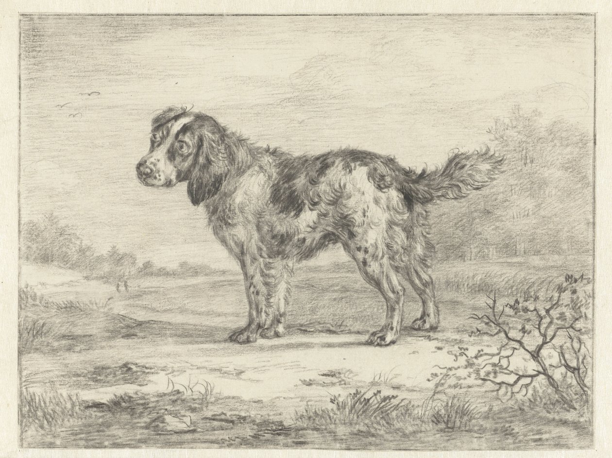 Spaniel em pé em uma paisagem de Jan Dasveldt