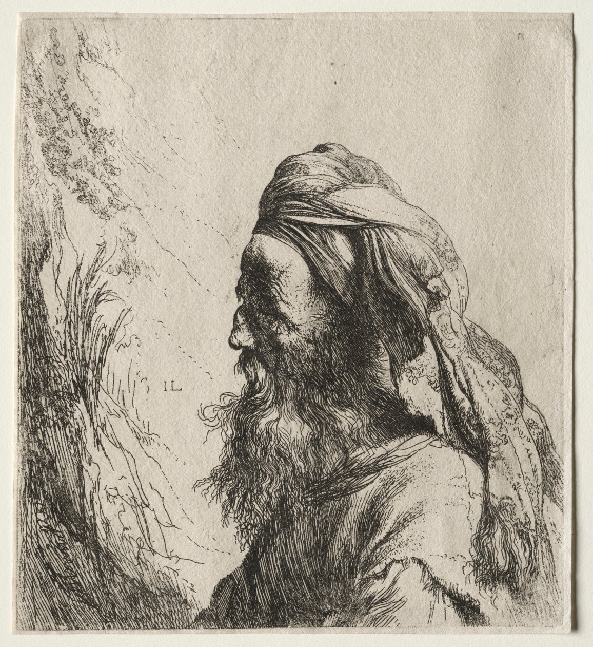 Cabeça de um oriental, 1600s. de Jan Lievens