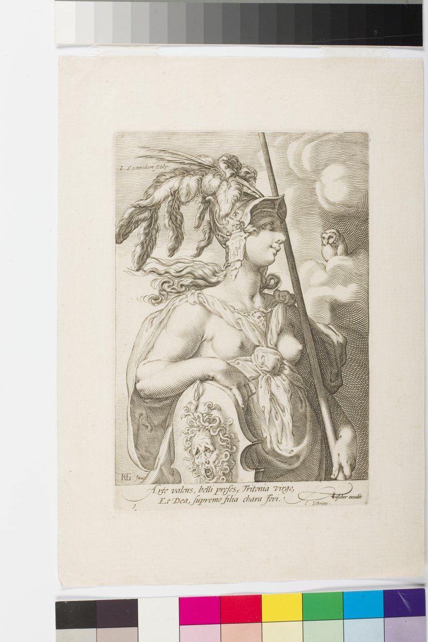Minerva (gravura) de Jan Saenredam