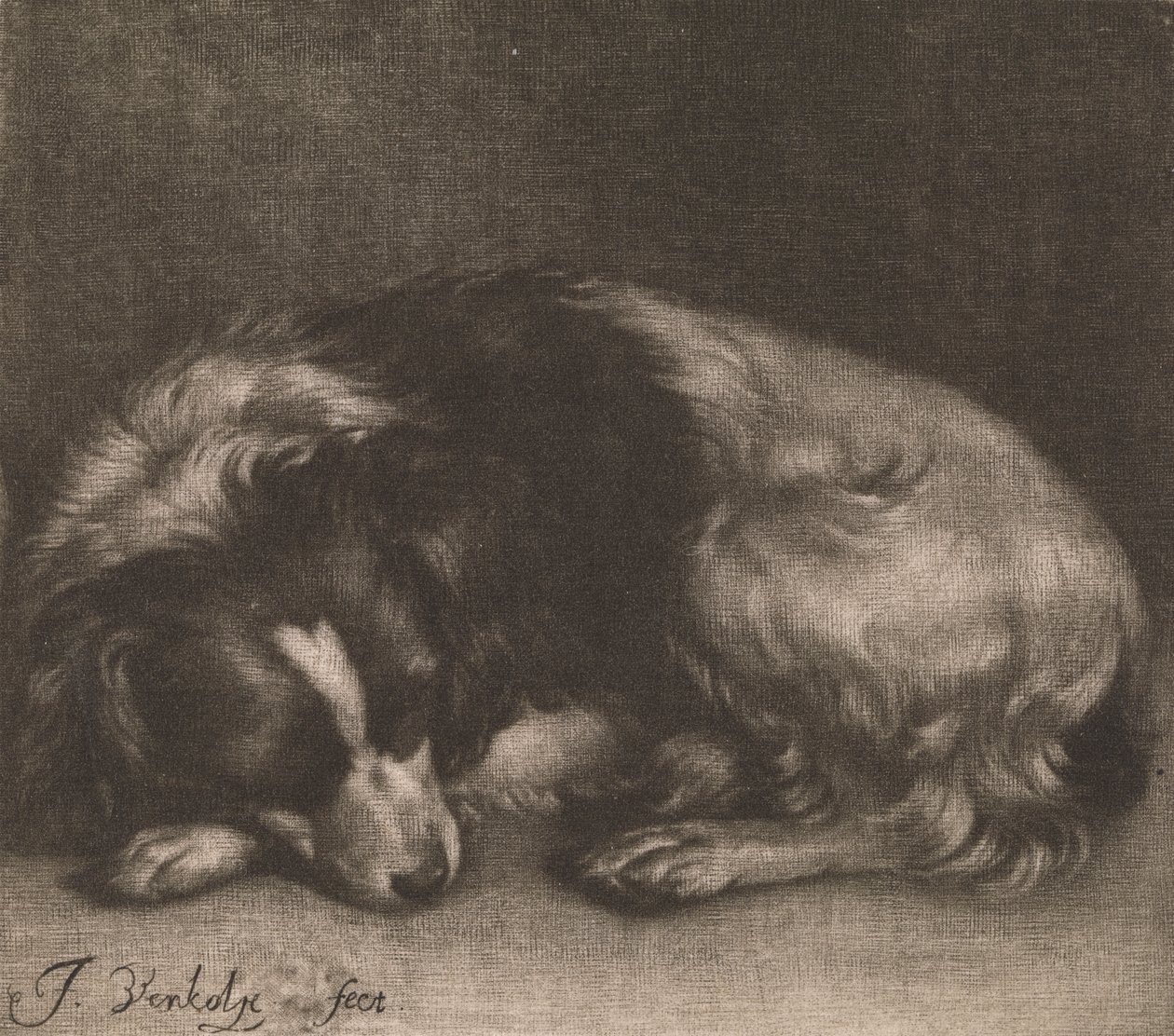 Um cão adormecido de Jan Verkolje