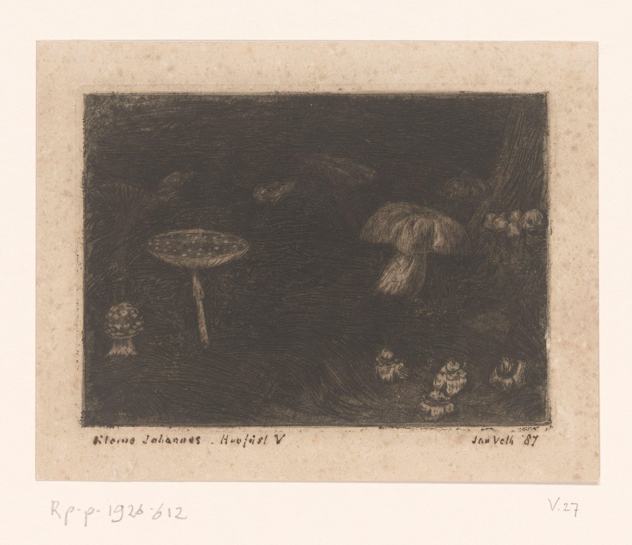 Cogumelos de Jan Veth (signed by artist)