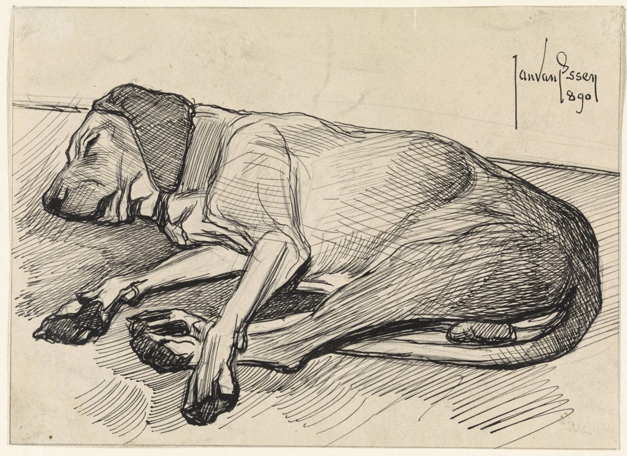 Cão adormecido, à esquerda de Jan van Essen