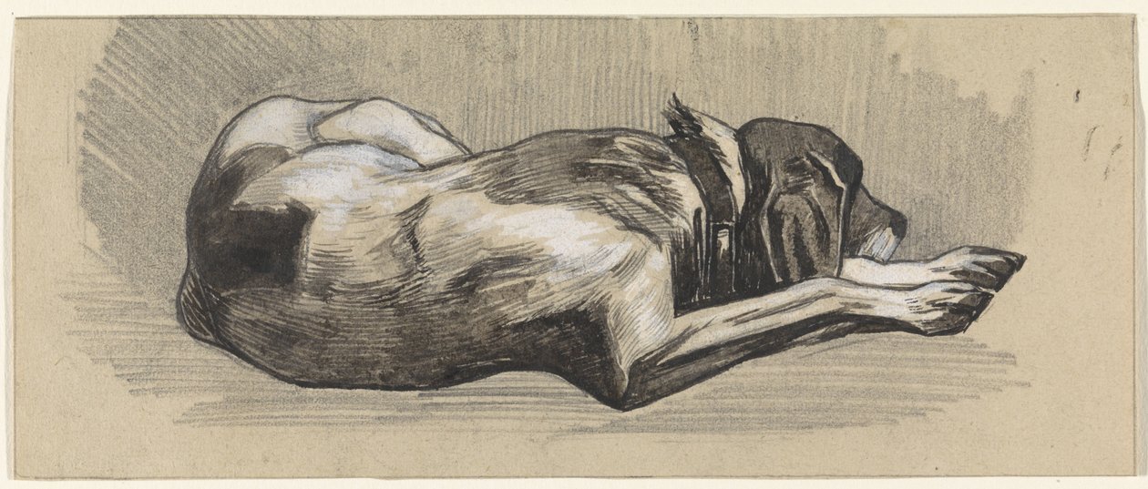 Cão adormecido, à direita de Jan van Essen