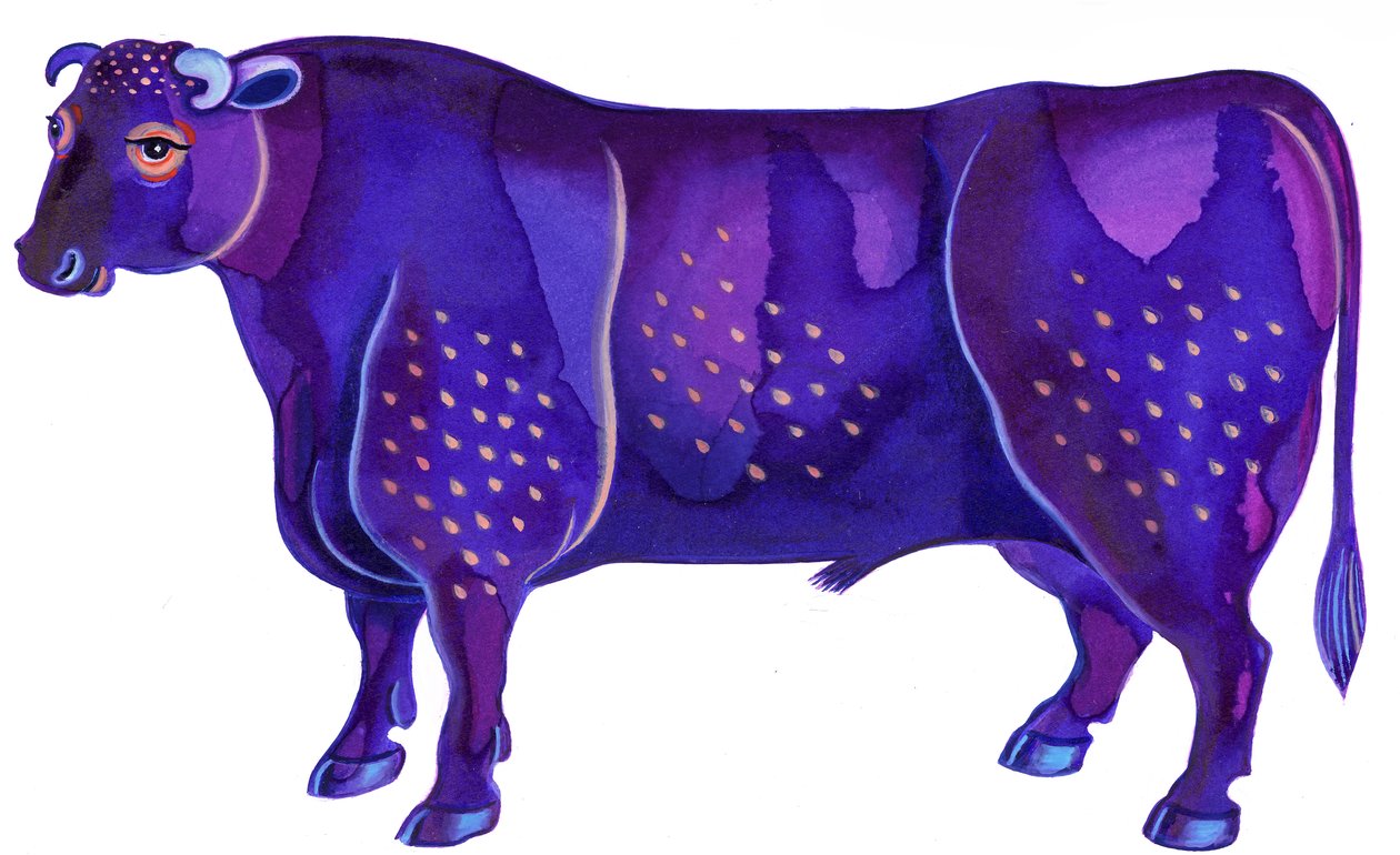 Taurus the Bull, 1996, (Tinta e guache) de Jane Tattersfield