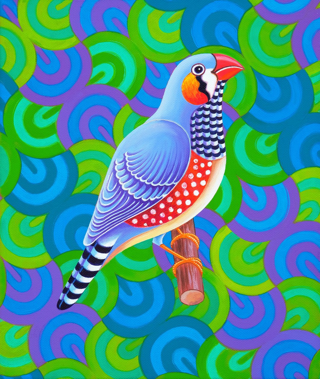 Tentilhão-zebra, 2023 (óleo sobre tela) de Jane Tattersfield