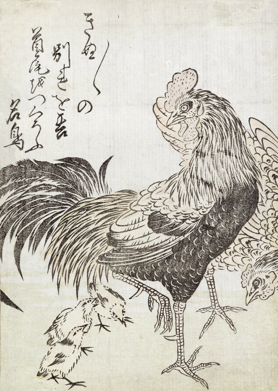 Galinha, Galo e Galinhas (impressão em xilogravura) de Japanese School