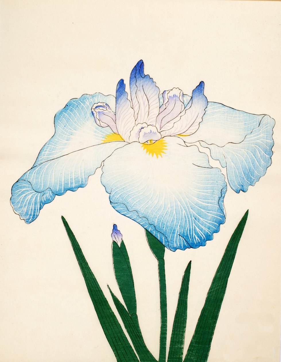 Sazanami, nº 68, 1890 de Japanese School