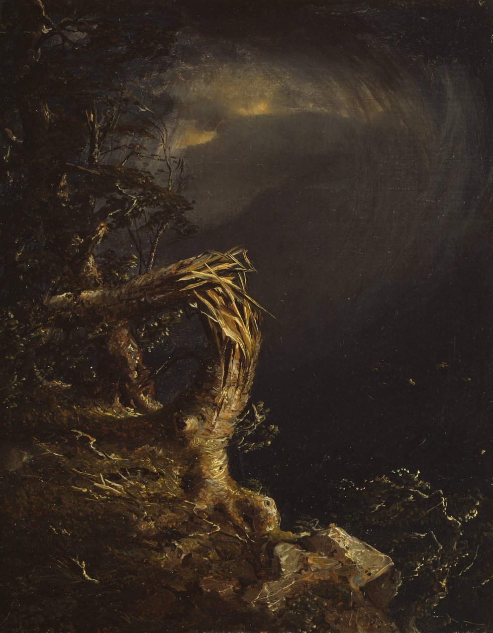 Árvore explodida de Jasper Francis Cropsey
