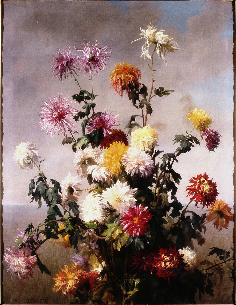 Estudo de Flores de Jean Benner