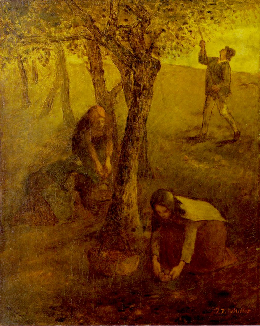 Recolhendo Maçãs de Jean Francois I Millet