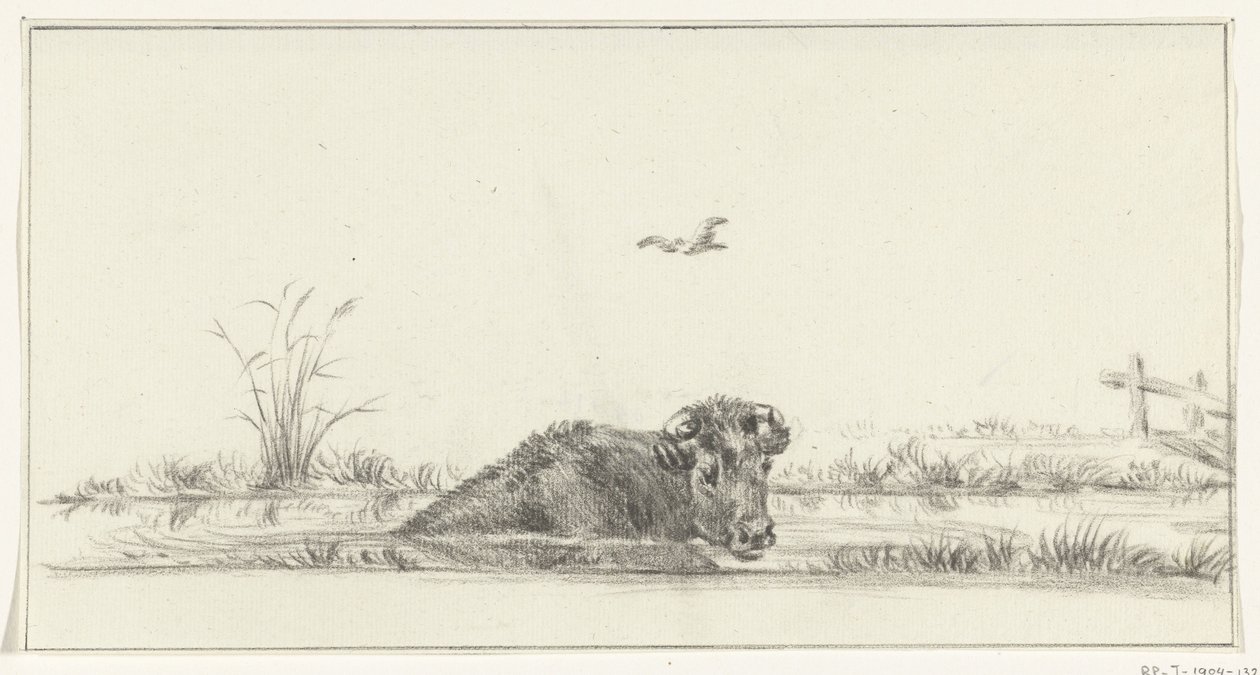 A vaca na água de Jean Bernard