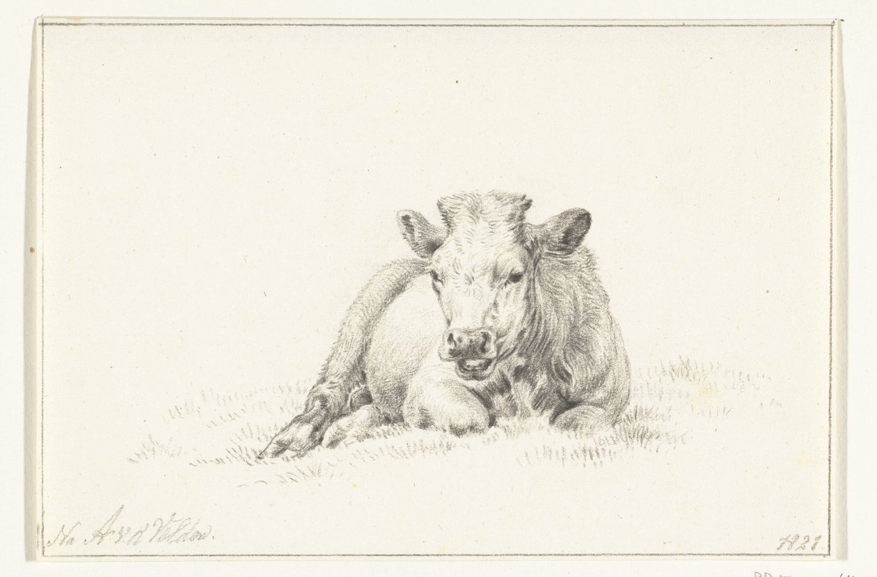 Vaca deitada, de frente de Jean Bernard