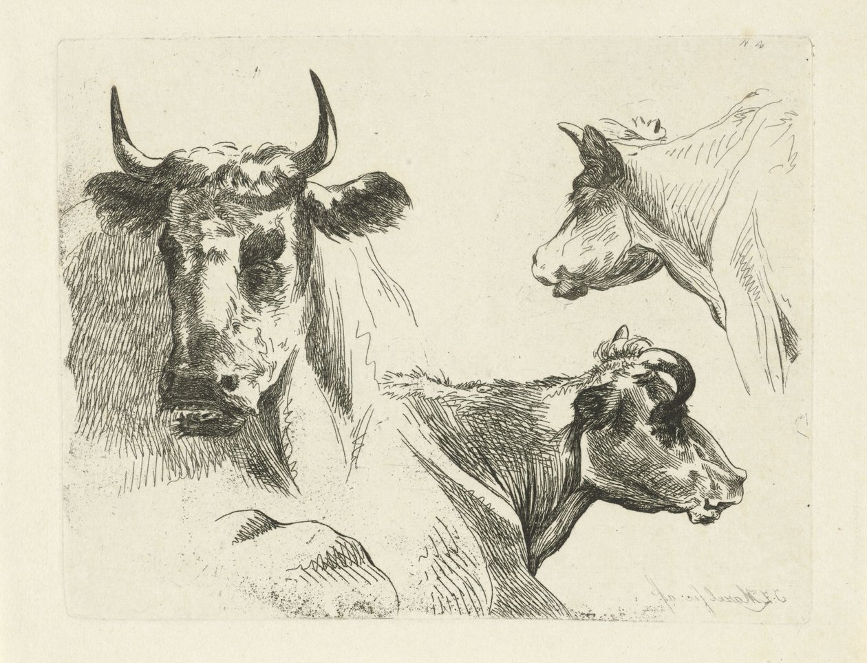Três cabeças de vaca de Jean Zacherie Mazel
