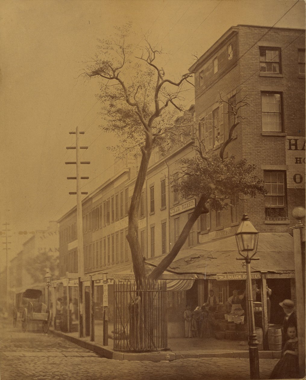 A pereira Stuyvesant de Jeremiah Gurney