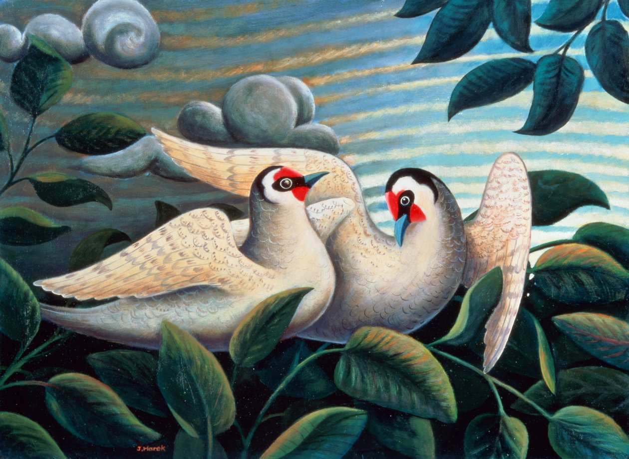 Os pássaros do amor de Jerzy Marek
