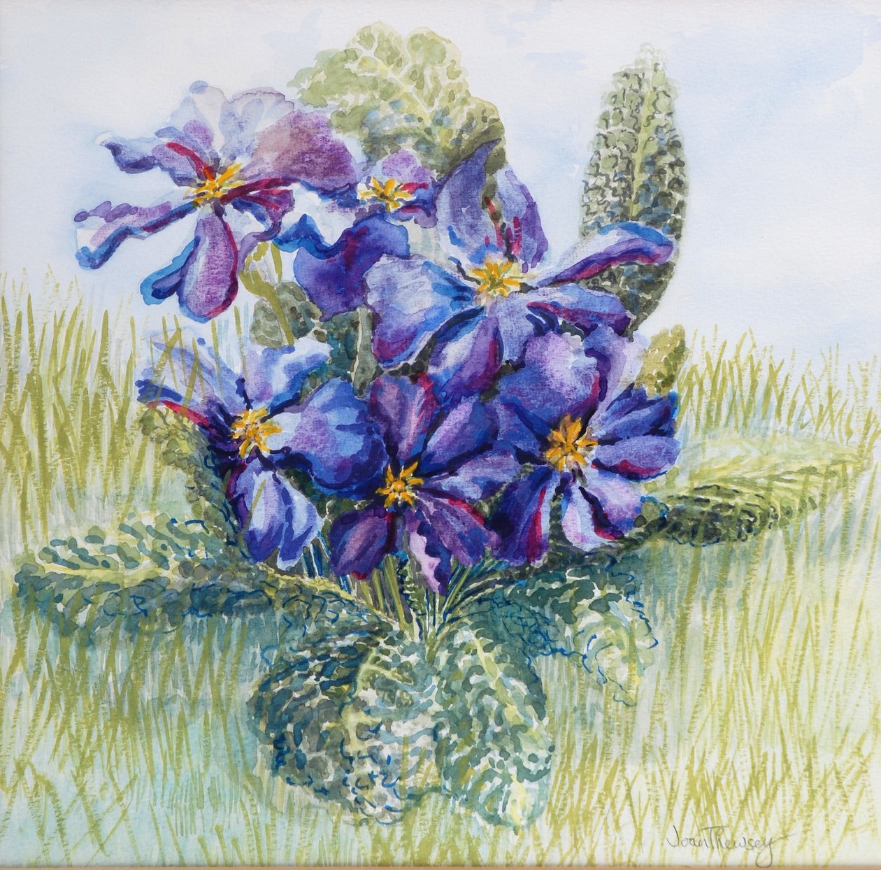 O Primrose Mauve 2000 de Joan Thewsey