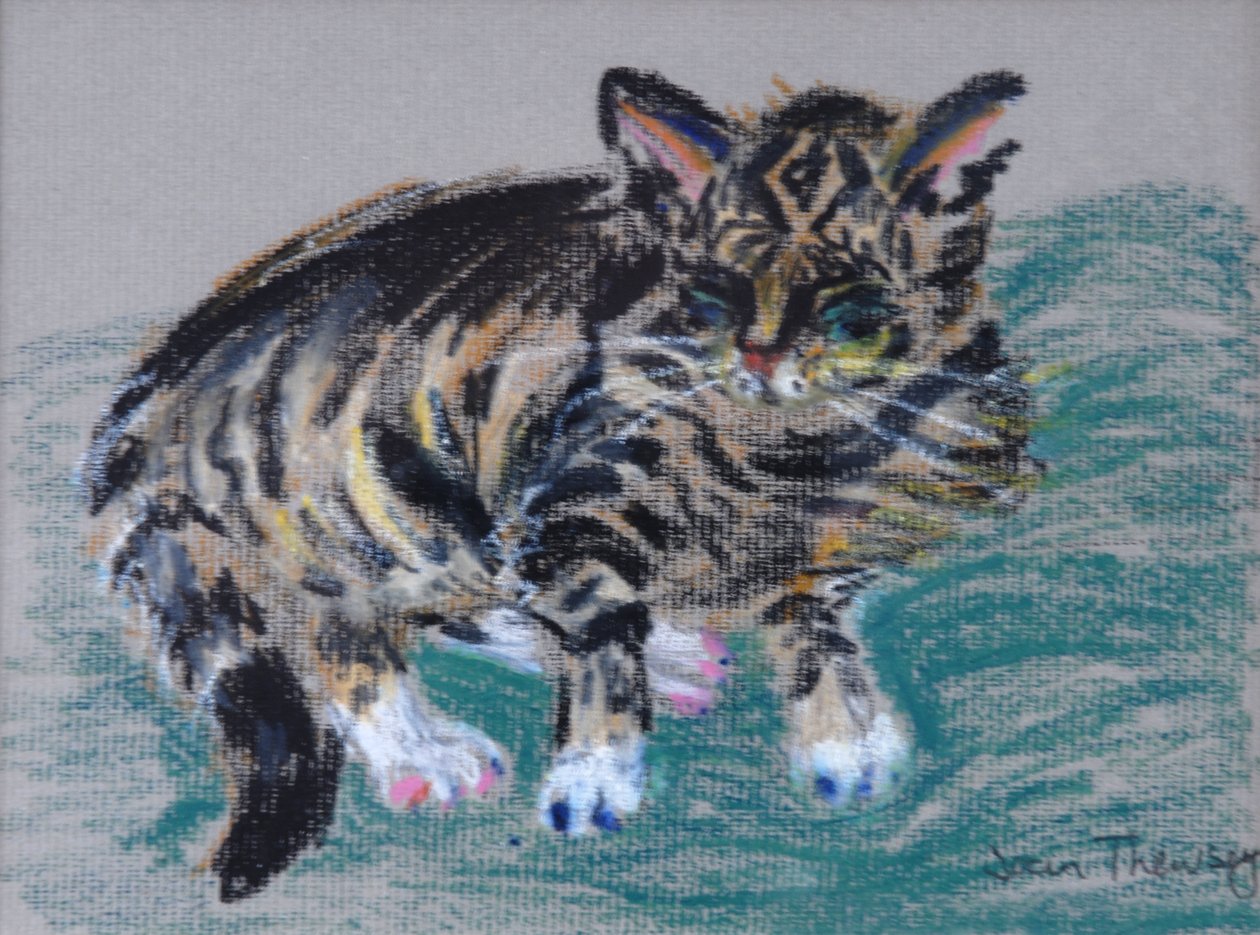 Gato malhado, 2005 (pastel) de Joan Thewsey