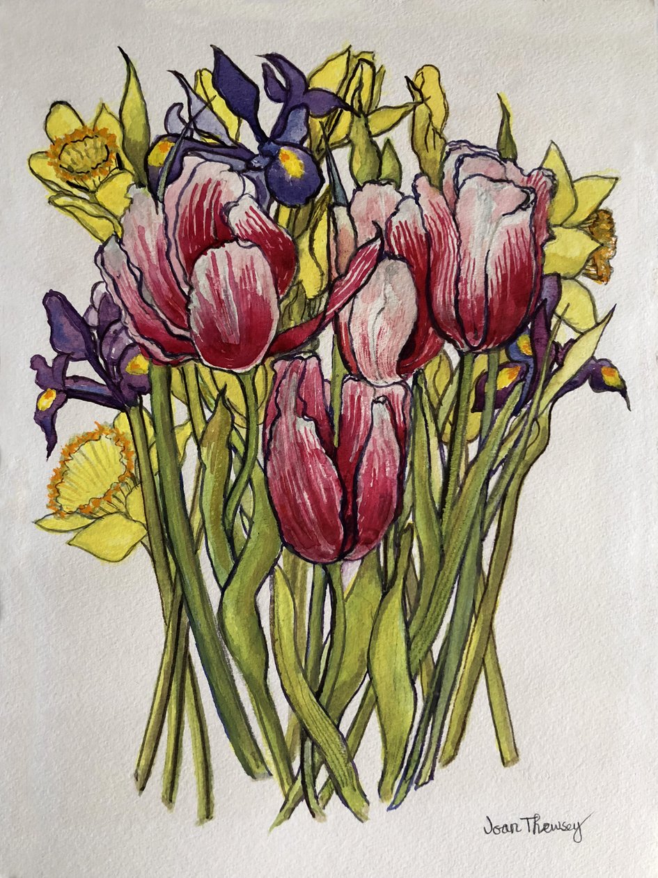 Tulipas, Daffodils e Iris de Joan Thewsey