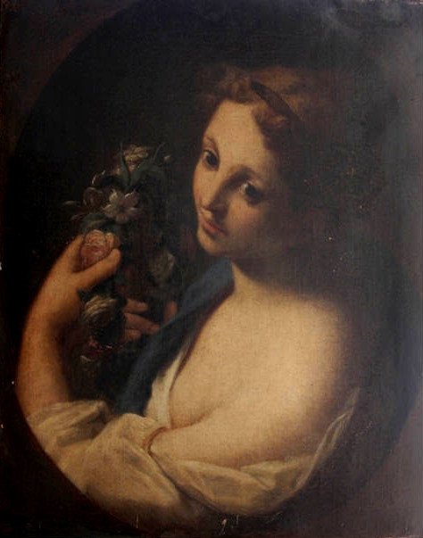 A flora de Joao Zeferino da Costa