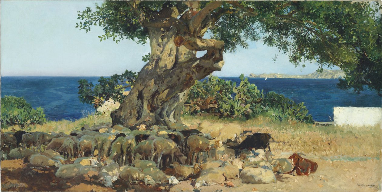 alfarroba de Joaquín Sorolla
