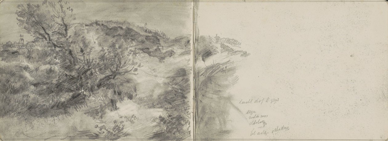 Paisagem dunar de Johan Antonie de Jonge
