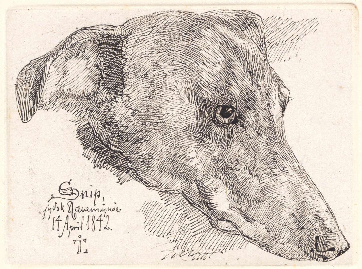 Hundehoved, Snip de Johan Thomas Lundbye