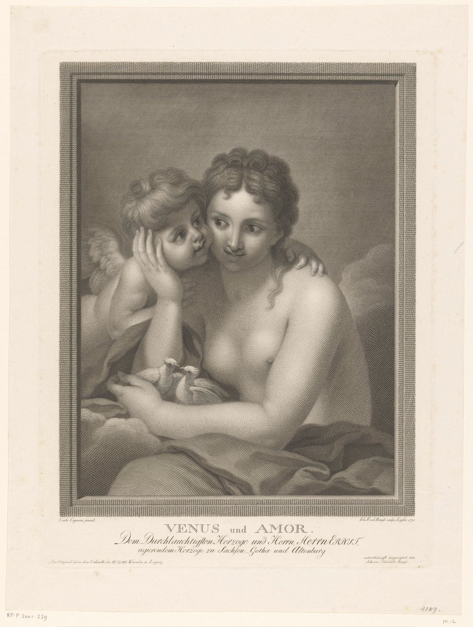 Vênus no amor de Johann Friedrich Bause