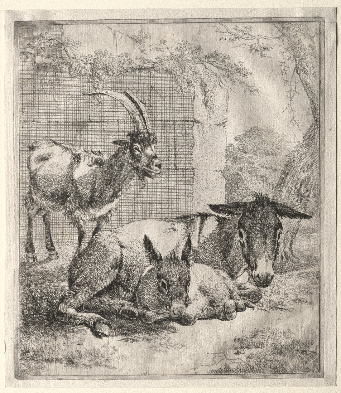 cabra e burro de Johann Heinrich Roos
