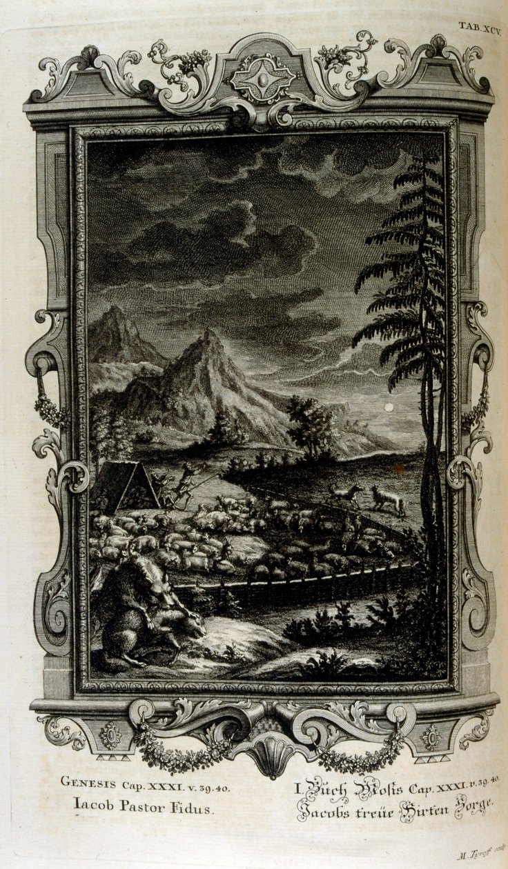 Campos de Jacobs de Johann Jakob Scheuchzer