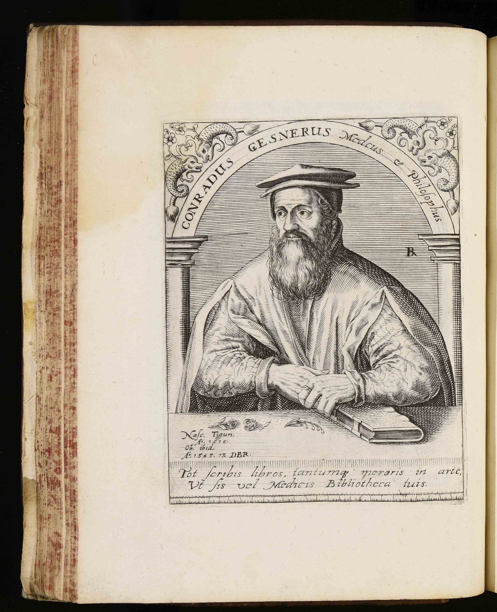 Conrad Gessner de Johann Theodor de Bry