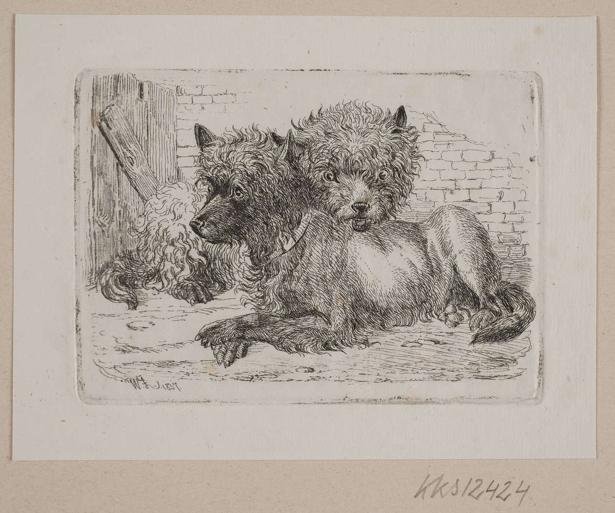 Dois cães deitados de Johannes Wilhelm Zillen