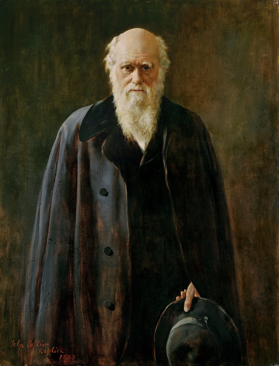 Retrato de Charles Darwin (1809-1882) 1883 de John Collier