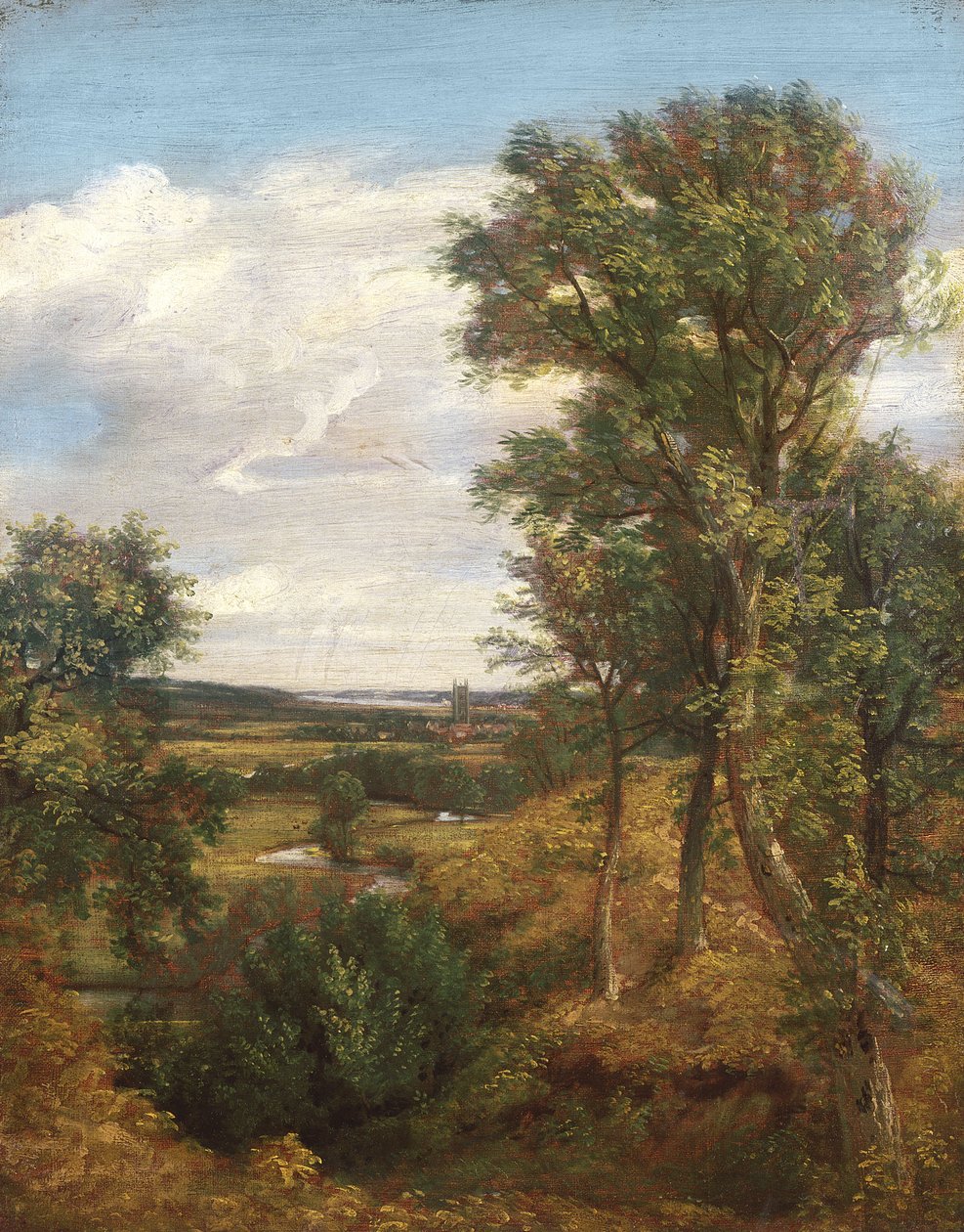 Dedham Vale, 1802 de John Constable