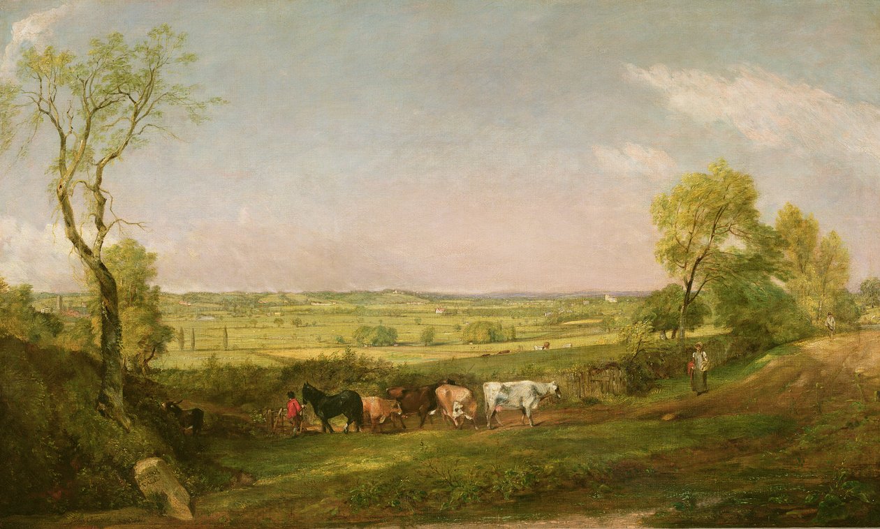 Dedham Vale: Manhã, c.1811 de John Constable