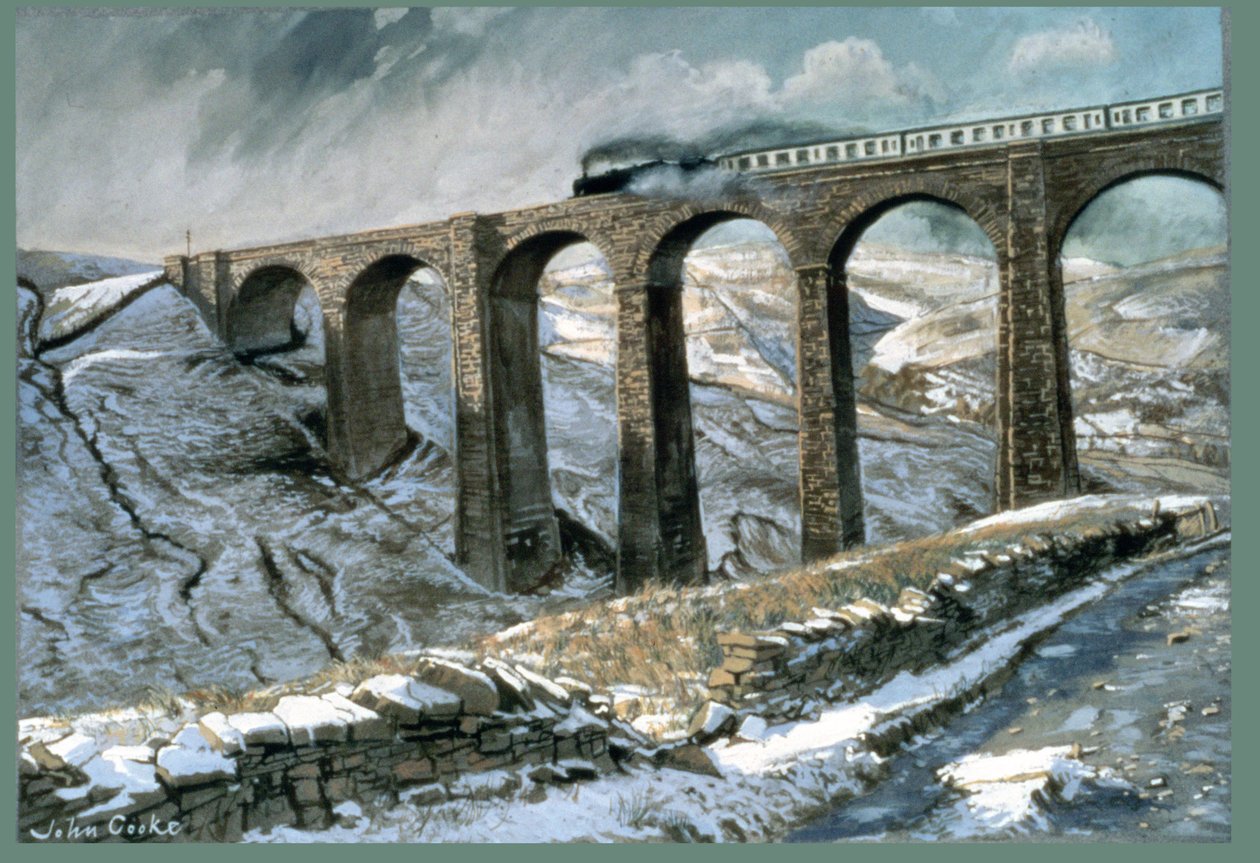 Viaduto de Brânquia de Espécie de John Cooke