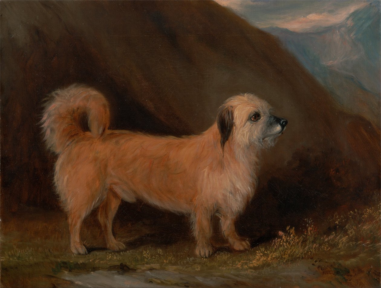 Um dandie dinmont terrier de John E. Ferneley