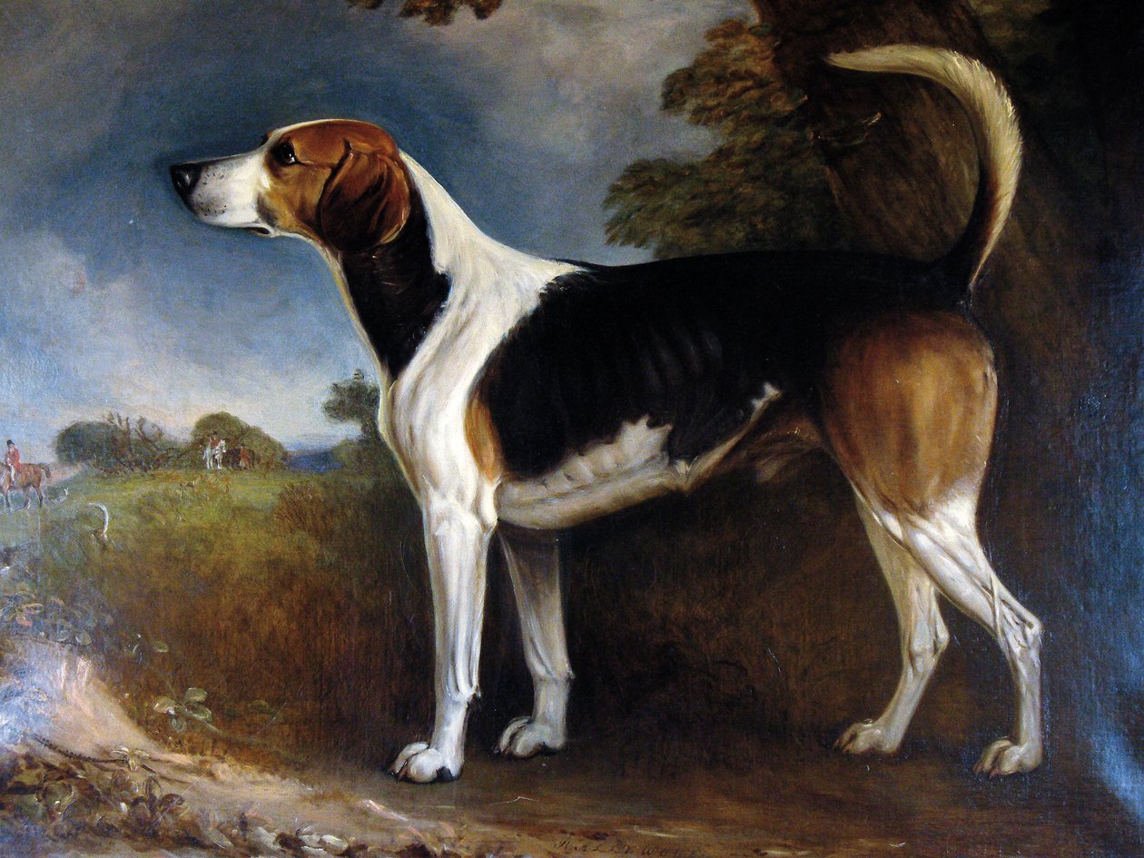 Rallywood, 1850 de John E. Ferneley