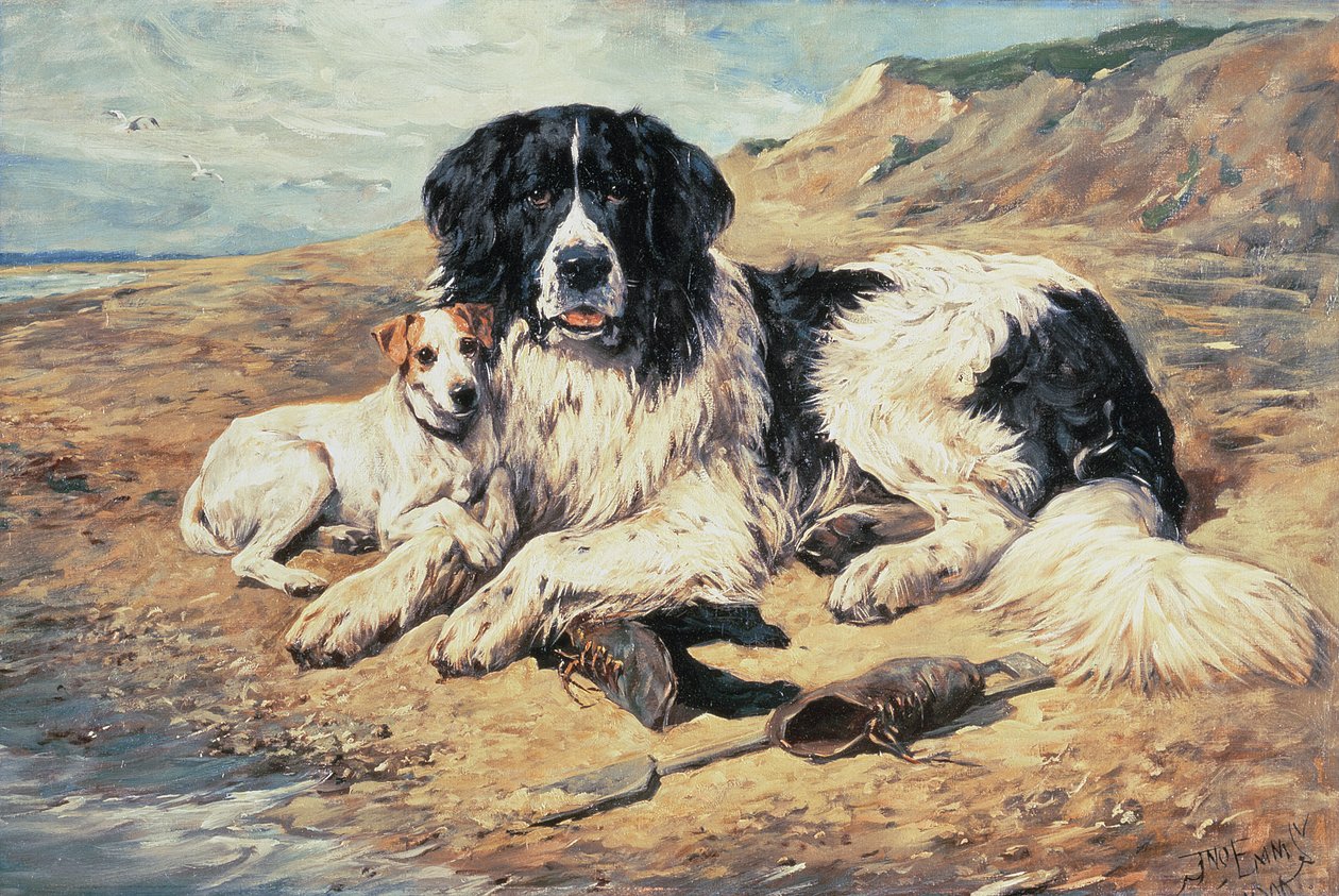 Cães assistindo Bathers, 1900 de John Emms
