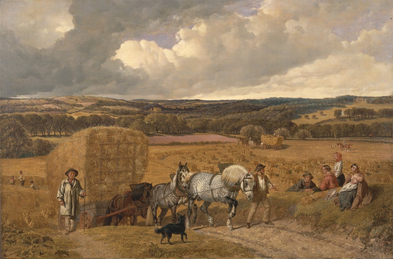 A colheita de John F. Herring