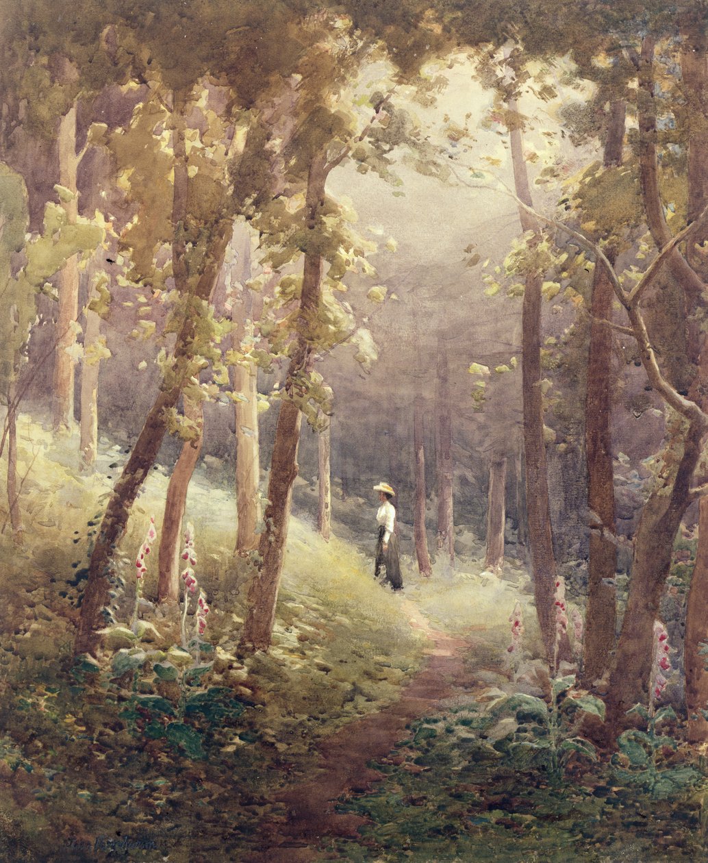 Uma clareira da floresta de John Farquharson