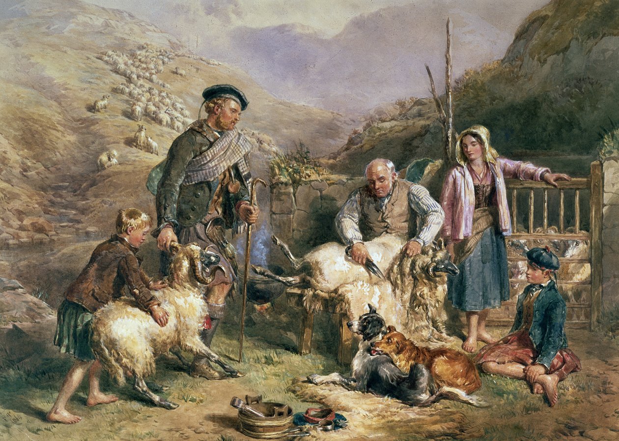 Tosquia de Ovelhas de John Frederick Tayler