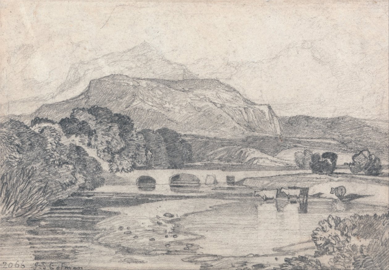 Tan-y-Bwlch, North Wales de John Sell Cotman