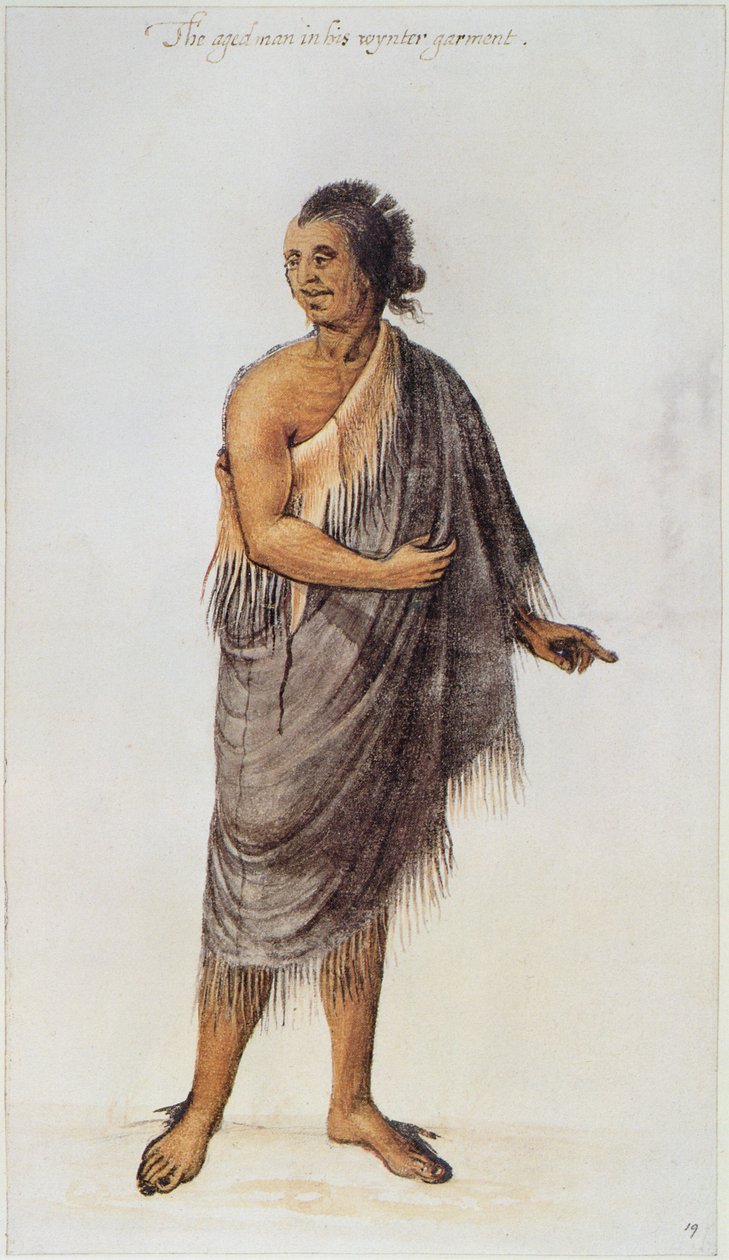 Velho homem indiano (cor litho) de John White